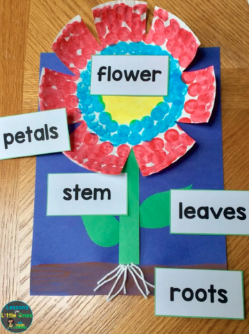 Image of flower parts diagram