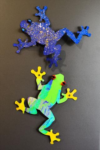 Image of frog craft