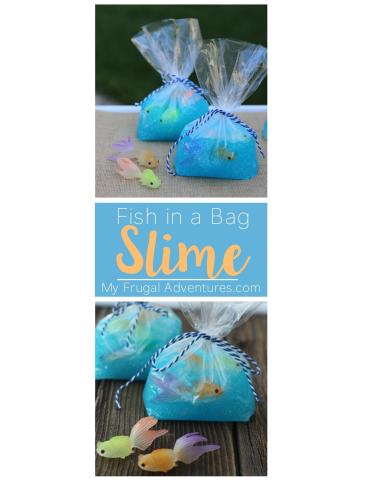 Image of fish in a bag slime