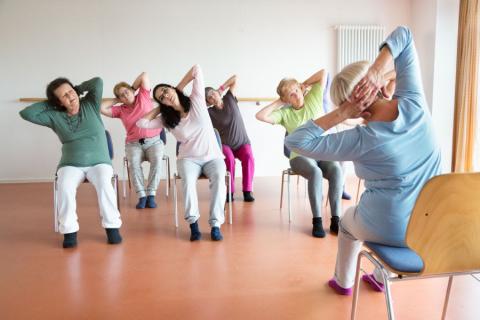 Image of seniors doing yoga