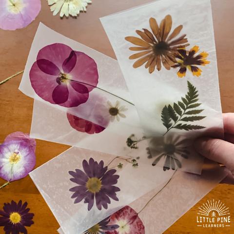 Image of bookmarks made from pressed flowers