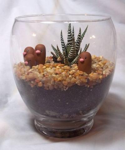 Image of Pokemon terrarium