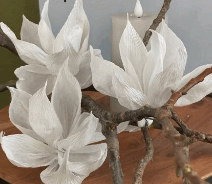 Image of ghost flowers