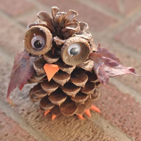 Image of owl made of pinecone