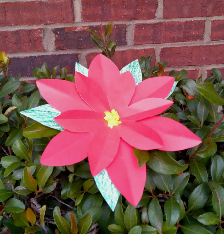 Image of paper poinsettia