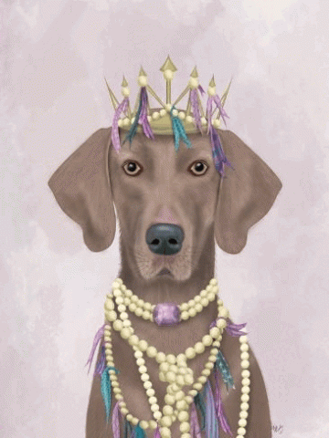 Image of Mardi Gras dog