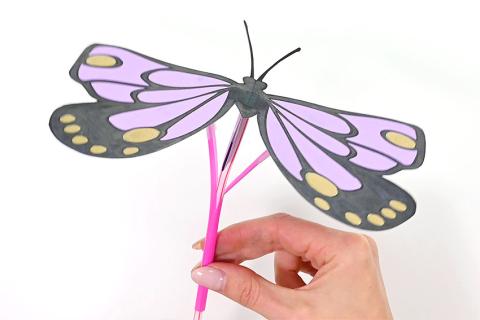 Image of butterfly craft