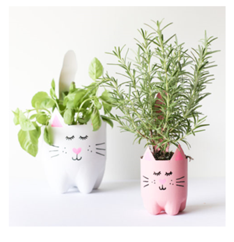 Image of pet planters