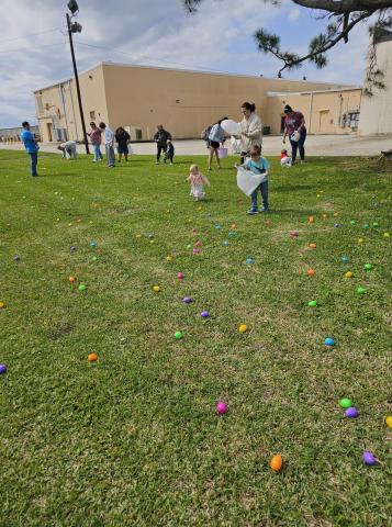 Image of Easter egg hunt