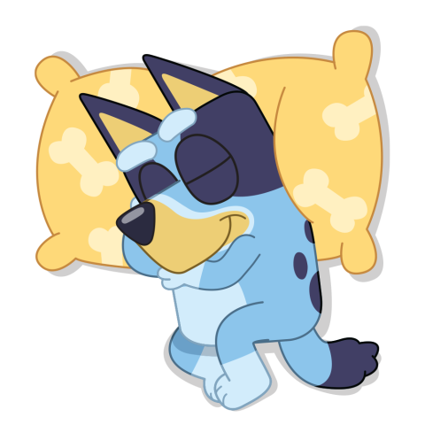 Image of Bluey sleeping