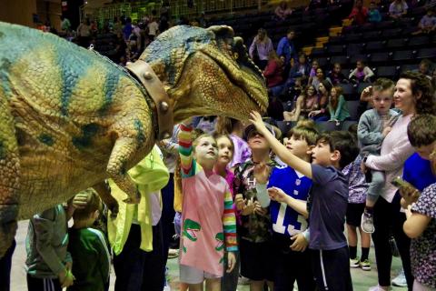 Image of Dinosaur Experience