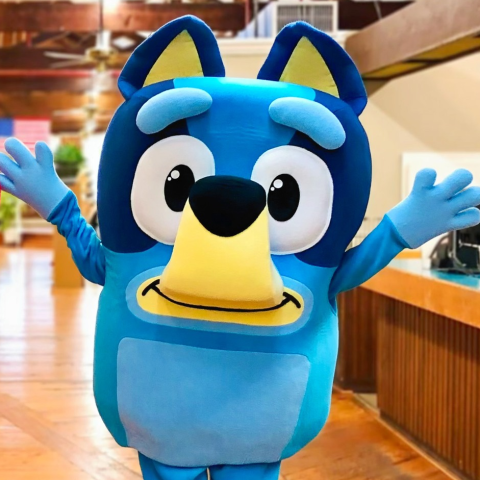 Image of blue dog