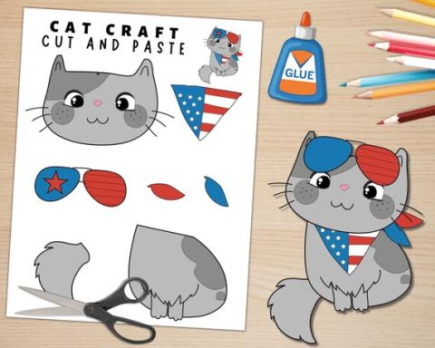 Image of patriotic cat craft