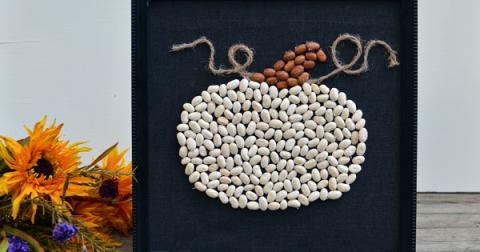 Image of bean pumpkin