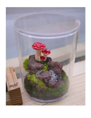 Image of mushroom terrarium