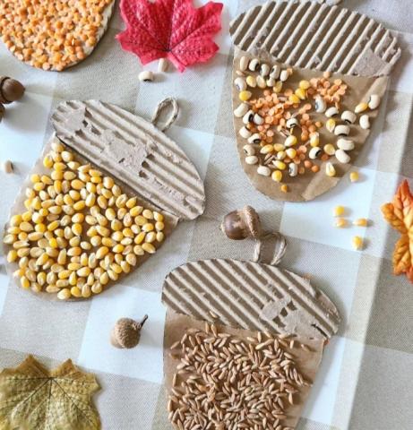 Image of acorn bean mosaic