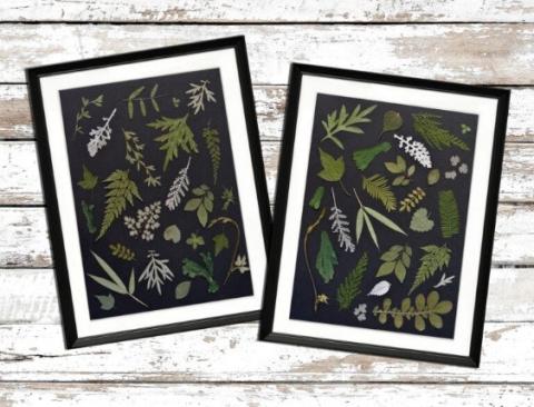 Image of botanical art