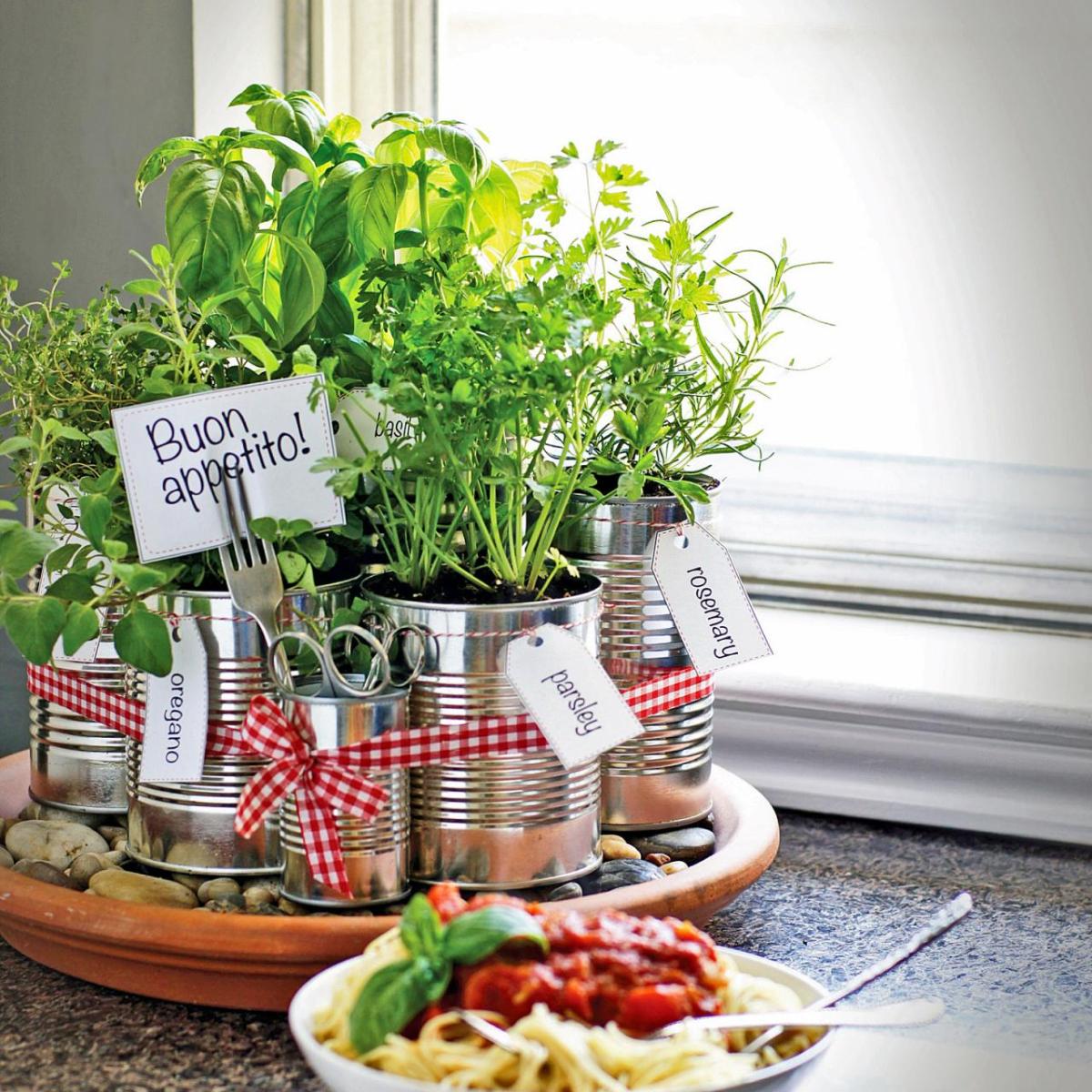 Image of an herb garden