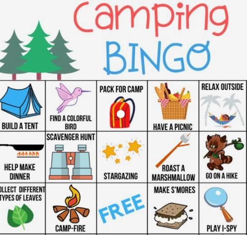 Image of camping bingo card