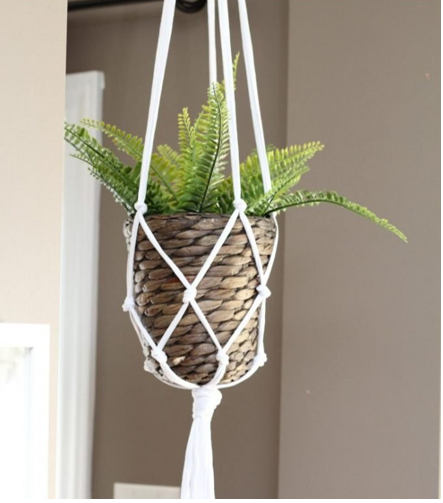 Image of macrame plant hanger