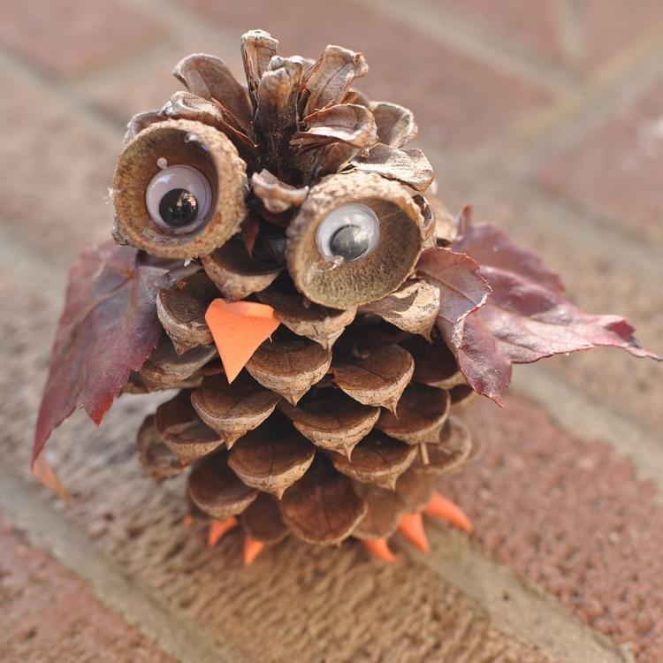 Image of owl made of pinecone