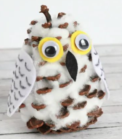 Image of owl craft