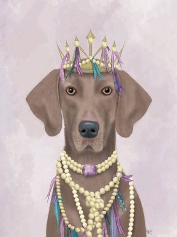 Image of Mardi Gras dog