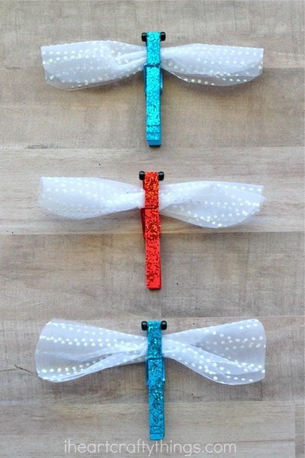 Image of dragonfly craft