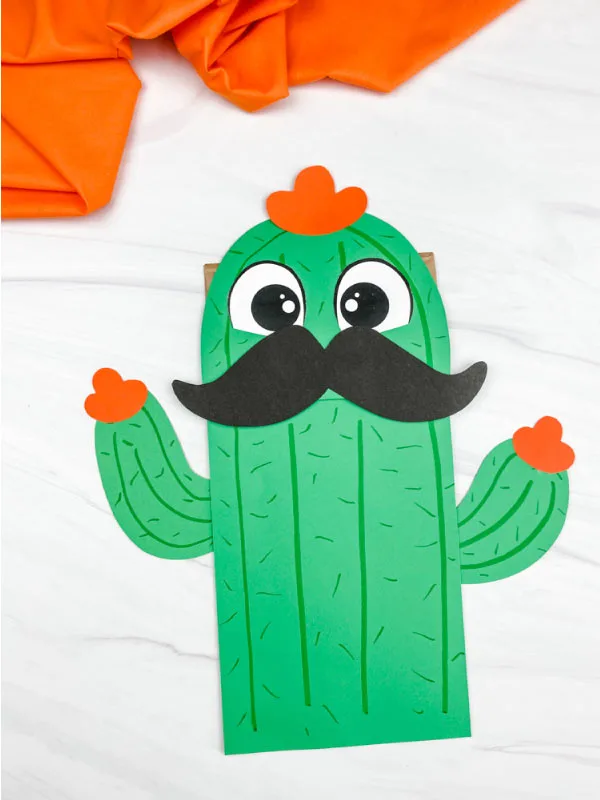 Image of cactus puppet