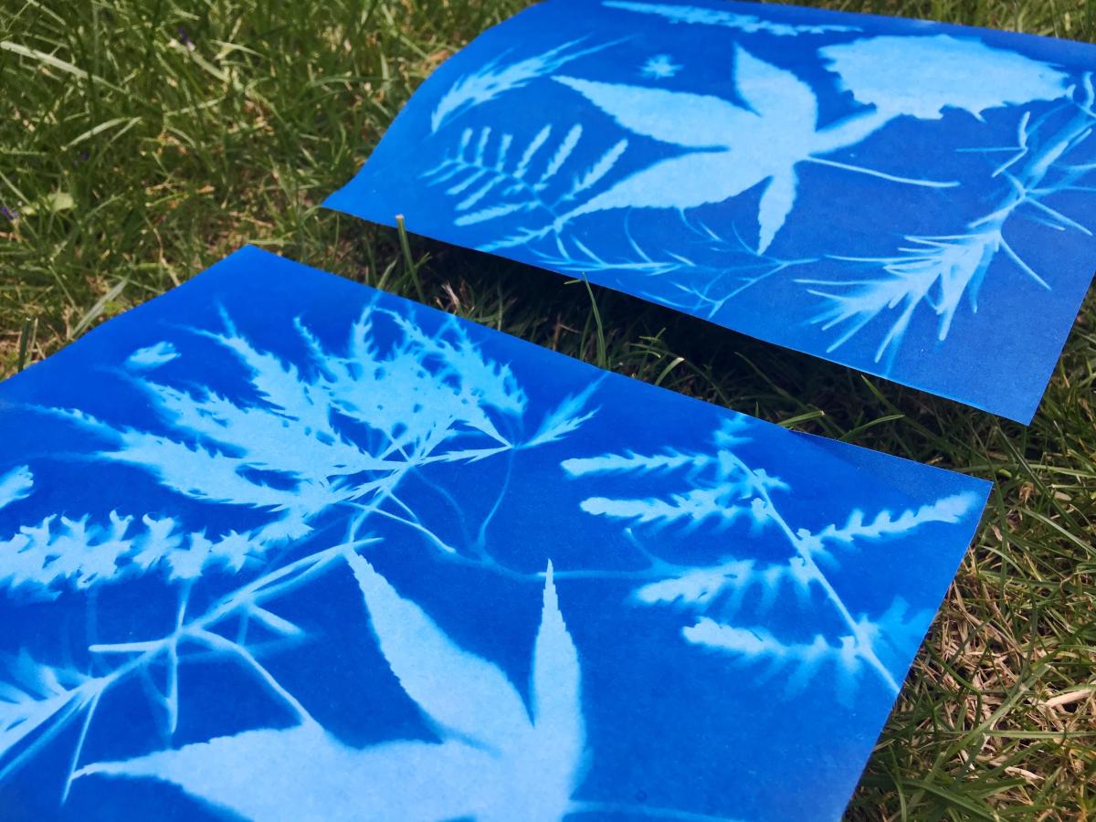Image of sun print