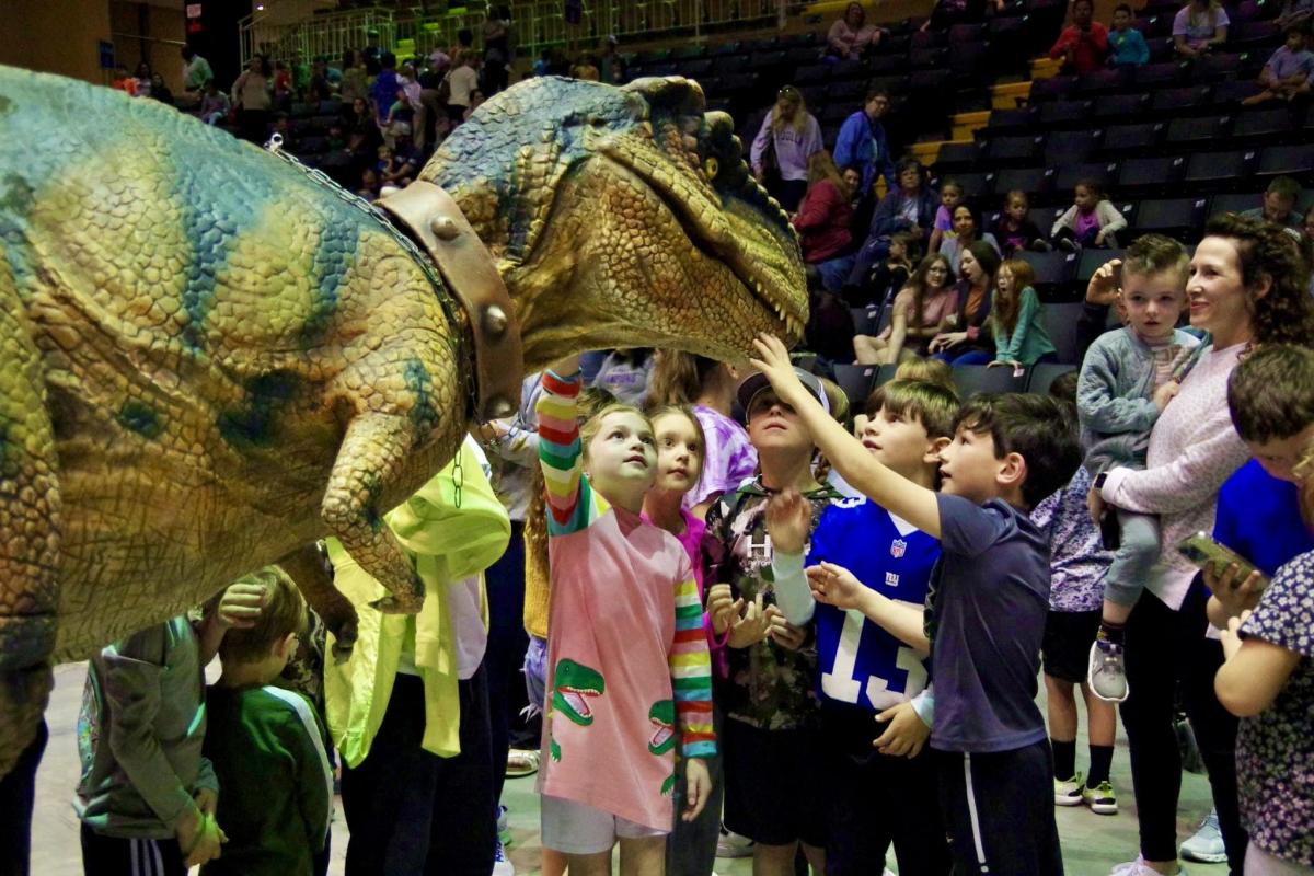 Image of Dinosaur Experience