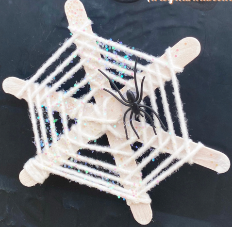 Image of spider web magnet